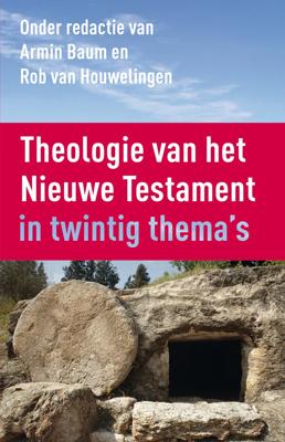 Theologie van het Nieuwe Testament (Hardback)