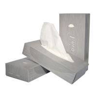 Facial tissues Euro Products 2-laags 100 vel wit 140040 | 40 stuks