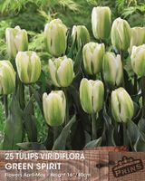 Prins tulp green spirit 25 bollen