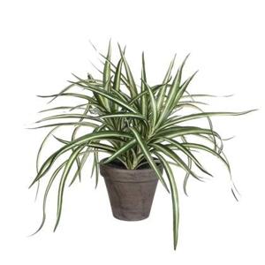 Mica Decorations Dracaena Kunstplant - H34 x Ø40 cm - Wit