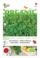 Organic Citroenmelisse (Skal 14275) - Buzzy
