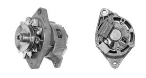 Dynamo MG123