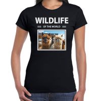 Alpaca t-shirt met dieren foto wildlife of the world zwart voor dames - thumbnail