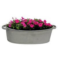 Mega Collections teil/plantenpot Farmer - ovaal - zink - donkergrijs - L43 x D30 X H14 cm   -