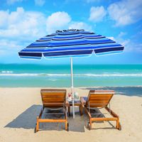 220 cm Strandparaplu UPF50 + Draagbare Parasol Parasolparaplu Strand Zonnescherm