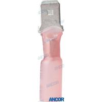 AM316925 - Krimpkous (25