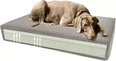 Madison Orthopedisch kussen 80 x 55 taupe