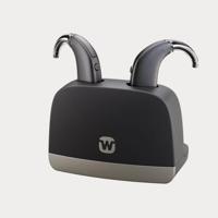 Standard Charger Allure BTE R D