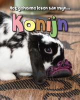 Konijn (Hardback)