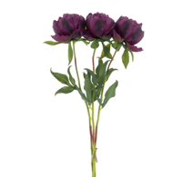 Paeony Marlie bundle a 3 pcs aubergine 63 cm kunstbloem Erutan Avon - Erutan avon