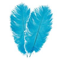 Struisvogelveren/sierveren - 2x - turquoise - 30-35 cm - decoratie/hobbymateriaal   - - thumbnail