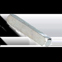 AMI Vierkant Wc-Stift 8X50 Mm - 900479