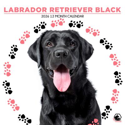 Labrador Retriever Zwart Kalender 2026