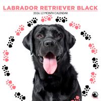 Labrador Retriever Zwart Kalender 2026