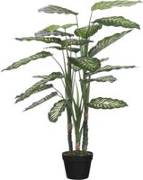 Mica dieffenbachia 100 cm groen - thumbnail