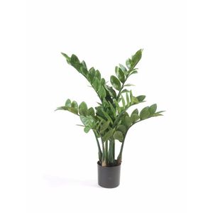 Kantoor decoratie Zamioculcas 70 cm