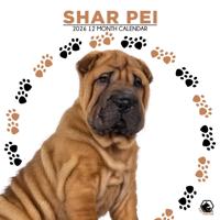 Shar Pei Kalender 2026