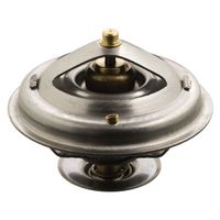 Thermostaat 17898