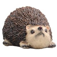 Egel tuin beeldje - voor binnen/buiten - 15 x 12 x 11 cm - dieren tuinbeelden - snuitje omhoog