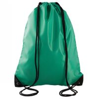 2x stuks sport gymtas/draagtas grasgroen met rijgkoord 34 x 44 cm van polyester