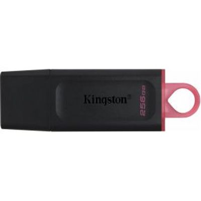 Kingston DataTraveler Exodia 256GB