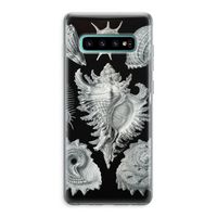 Haeckel Prosobranchia: Samsung Galaxy S10 Plus Transparant Hoesje