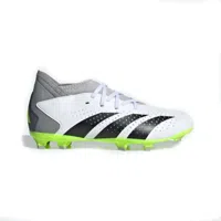 Adidas Predator Accuracy.3 FG voetbalschoenen - thumbnail