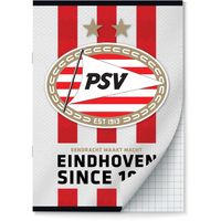 PSV schriften Ruit 10 mm A4 - 2 stuks - thumbnail