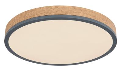 Globo Dimbare led plafondlampDoro Ø 45cm - 416080WD2R-CCT