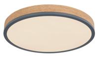 Globo Dimbare led plafondlampDoro Ø 45cm - 416080WD2R-CCT