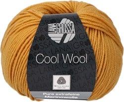 Lana Grossa Cool Wool 2035 Honinggeel