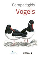 Compactgids Vogels (Paperback)