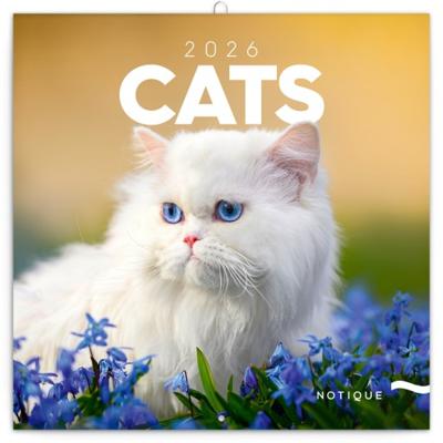 Katten Kalender 2026