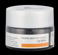 Dr. Hauschka Lip Balm 4.50 ml Dr. Hauschka Lip Balm 4.50 ml