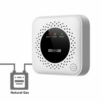 Wisualarm Standalone Natural Gas Alarm