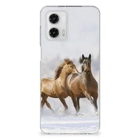 Motorola Moto G73 TPU Hoesje Paarden