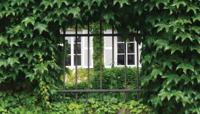 Hedera 130x70cm Tuinschilderij - Customize it