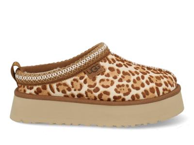 Ugg Tazz Plains 1177890 FDJ leopard multi bruin maat 40