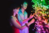 Twinkly Strings intelligent lichtsnoer (veelkleurige + witte editie)