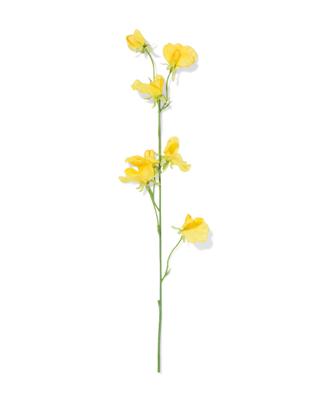 HEMA Kunstbloem Lathyrus Geel (geel)