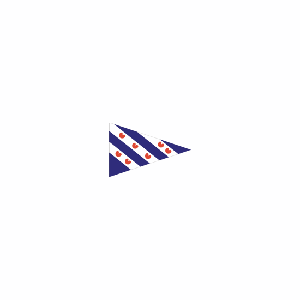 Friese Vlag Puntvlag Friesland 20x30 Cm