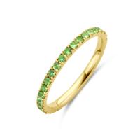 14k Geelgouden Ring met Tsavoriet - 2 mm Breed 14k Geelgouden Ring met Tsavoriet - 2 mm Breed