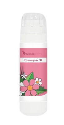 Balance Pharma Flowerplex 058 Zielerust