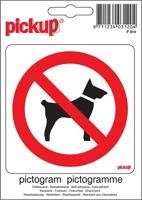 Pictogram 10 x 10 cm - Pickup