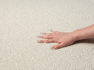 Karpet24 Vloerkleed Laagpolig Effen Cream -160 x 230 cm
