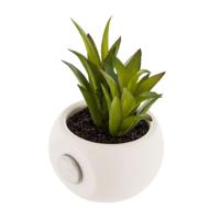Decoratieve plant Atmosphera Magneet Groen PVC