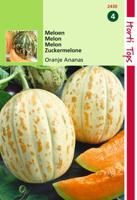 Meloenen Oranje Ananas - Hortitops