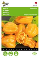 Peper Habanero oranje Tuinplus - Buzzy