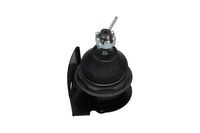 Fuseekogel SBJ3038