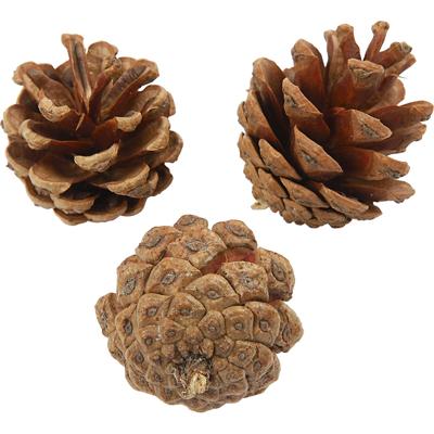 Creativ Company Dennenappels, d 40 mm, ca. 60 stuk, 500 gr/ 1 doos